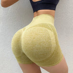 Women Shorts Fitness Sports Shorts for Women