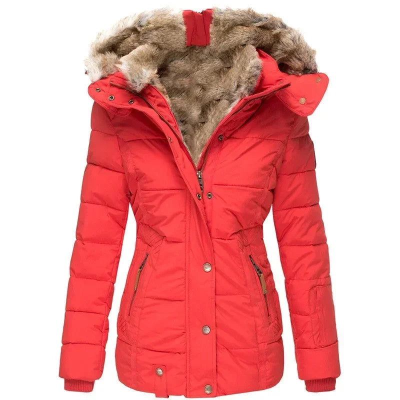 Collar Cotton Coat Women Zipper Long Sleeve Slim Fit Hooded Cotton Coat