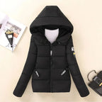 New Winter Jacket for Women