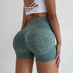 Women Shorts Fitness Sports Shorts for Women