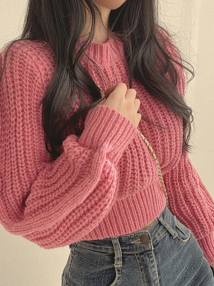 Women Sweater  Knitwear Soft Warm Tops