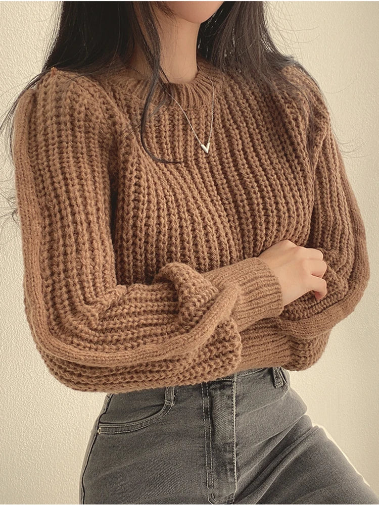 Women Sweater  Knitwear Soft Warm Tops